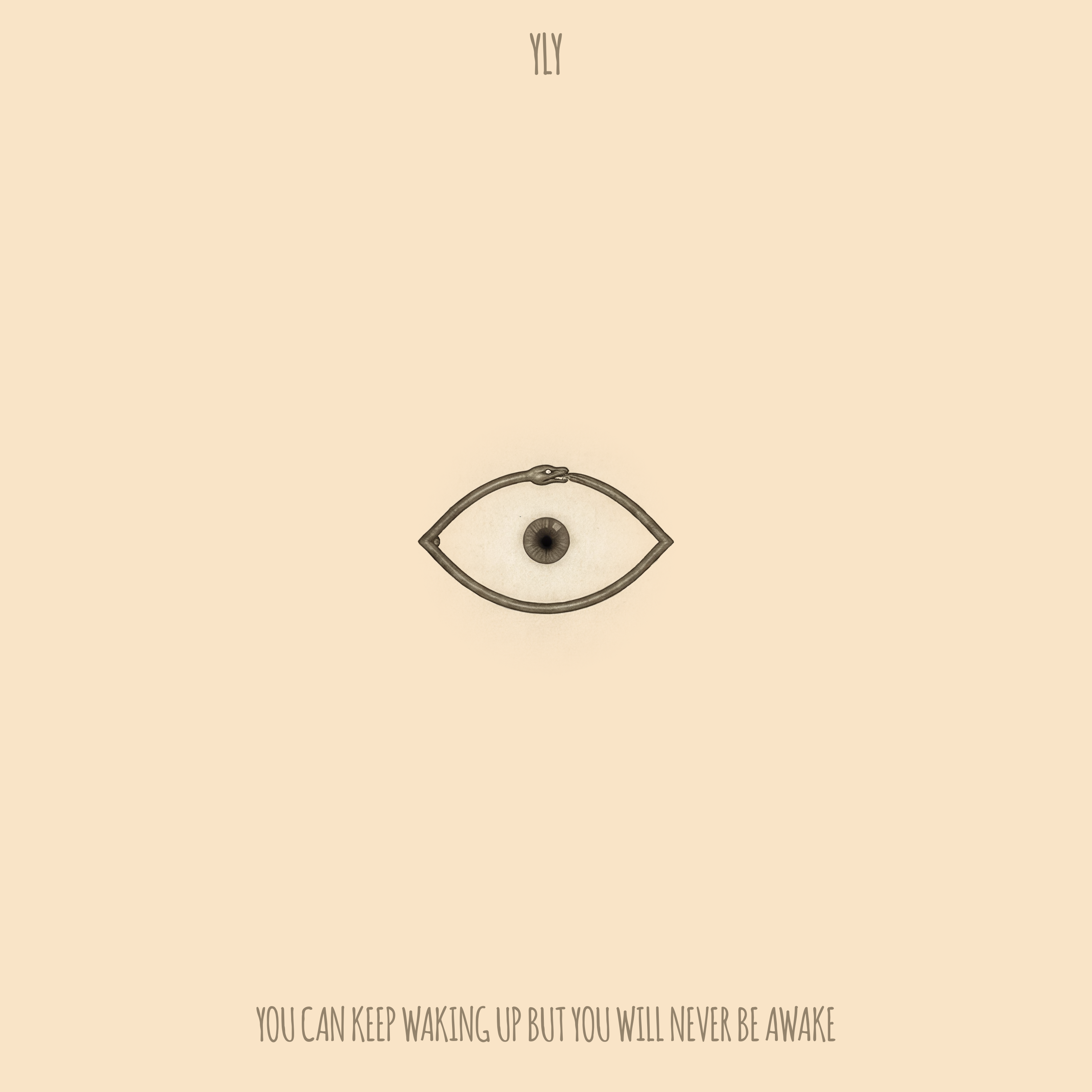 You Can Keep Waking Up But You Will Never Be Awake cover
